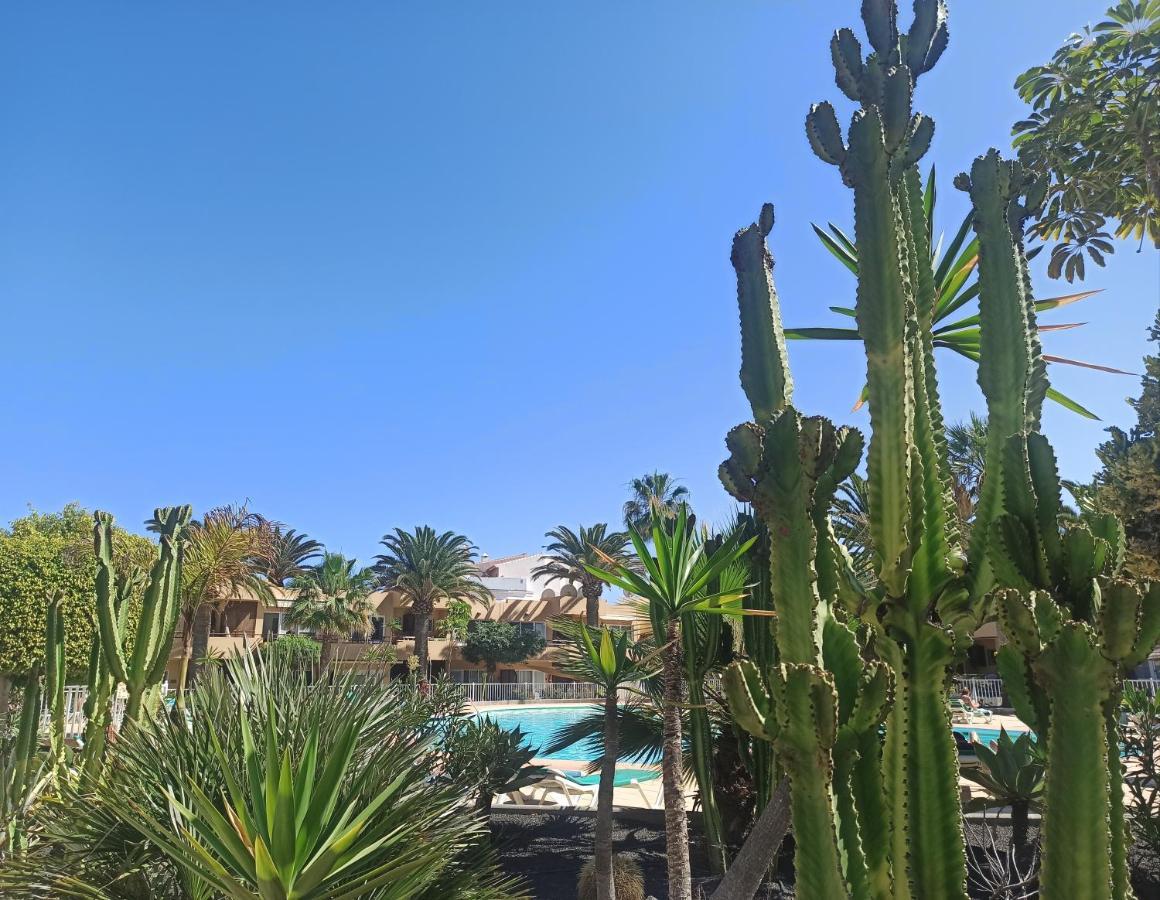 Elrincondesara Leilighet Corralejo Eksteriør bilde